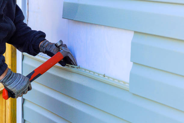 Best Custom Siding Design  in Braham, MN